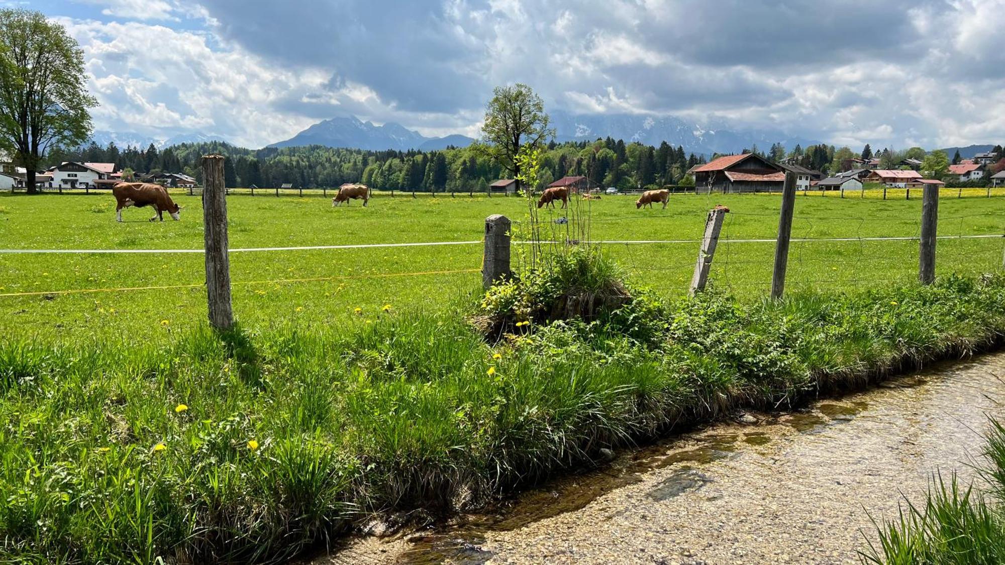 Post-Hotel Mittenwald Bagian luar foto